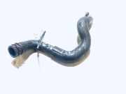 K?hlerschlauch Nissan Almera, N15 1995.07 - 1998.06 Gebraucht,