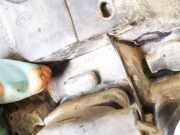 Lampenträger Heckleuchte - Hinten Volkswagen Touran, 2003.01 - 2006.10 1t0945253, BKD