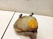 Ausgleichsbehälter Opel Vectra, B 1995.09 - 2000.09 90499809, 90500007