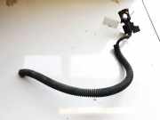 Kabel Fiat scudo 1997 - 2007 Gebraucht,