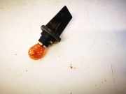 Glühbirnenfassung Blinker Renault Scenic, II 2003.06 - 2006.06 15620100,15620-100 156201-00 15620100