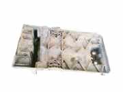 Batteriekasten Citroen Evasion, I 1994.01 - 2002.12 1462998080,