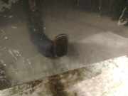 Waschwasserdüse Scheibenreinigung Ford Focus, 1998.10 - 2002.10 Gebraucht,