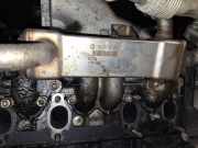 Abgaskühler AGR-Kühler Ford Galaxy, Mk I 2000.04 - 2006.04 facelift 038131513c,