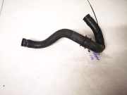 K?hlerschlauch Honda Accord, 2003.02 - 2005.09 Gebraucht,