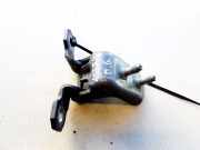 Türscharnier Hinten Renault Vel Satis, 2002.06 - 2009.12 Gebraucht,