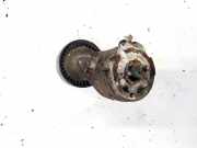 Spannrolle Fiat Punto, 2005.10 - 2012.03 Gebraucht,