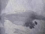 Batteriekasten Ford C-MAX, 2011.01 - 2019 fv61r10748a, fv61-r10748-a