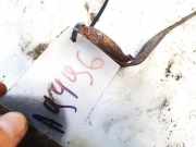 Halteband Kraftstoffbehälter Audi A6, C6 2005.01 - 2008.10 Gebraucht,