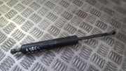Gasdruckfeder Kofferraum Mercedes-Benz W210, 1999.07 - 2002.03 facelift A0019808064,