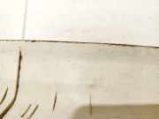 Innenausstattung Volkswagen Passat, B5+ 2000.11 - 2005.05 3b9867287, AVB