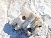 Scheibenwaschbehälter Vorne Wischwasserbehälter Mercedes-Benz X164 2007 - 2012 a16486905201,