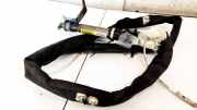 Kopfairbag - Vorne Rechts Renault Grand Scenic, I 2003.01 - 2009.12 8200432648,