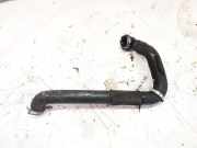 Intercooler Schlauch Fiat Stilo, 2001.10 - 2007.01 Gebraucht ,
