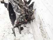 Schaltgetriebe Toyota Auris, I E15 2006.10 - 2012.10 Gebraucht,