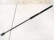 Gasfeder für Motorhaube Opel Vectra, C 2002.04 - 2005.10 24454473,