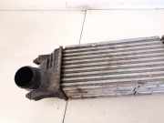 Ladeluftkühler Citroen C5, II 2008.02 - 2011.01 9645682880, 874823nk