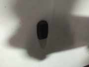 Waschwasserdüse Scheibenreinigung Ford Focus, 2011.04 - 2018 Gebraucht,