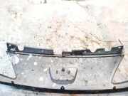 Kühlergrill Frontgrill Kühlergitter Peugeot 1007, 2005.04 - 2009.12 Gebraucht,