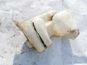 Scheibenwaschbehälter Vorne Wischwasserbehälter Peugeot Partner, I 2003.01 - 2009.06 facelift Gebraucht,