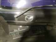 Kennzeichenleuchte Mazda MPV, III 1999.08 - 2006.02 Gebraucht,