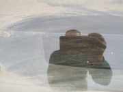 Zusatzbremsleuchte Opel Astra, G 1998.09 - 2004.12 Gebraucht ,