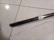 Zierleiste Leiste - Hinten Linke Chrysler 300C, I 2005.01 - 2010.06 Gebraucht ,