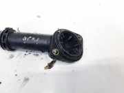 Kühlmittelflansch Volkswagen Passat, B5+ 2000.11 - 2005.05 038121121,06B121121 AWX