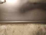 Zierleiste Tür Zier-Schutzleiste - Vorne Rechts Nissan Note, 2006.03 - 2013.06 Gebraucht,