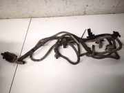 Kabelbaum Opel Vectra, C 2002.04 - 2005.10 Gebraucht,