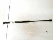 Gasdruckfeder Kofferraum Fiat Stilo, 2001.10 - 2007.01 46784590,