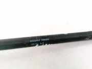 Gasdruckfeder Kofferraum Fiat Stilo, 2001.10 - 2007.01 8323NZ0380N,