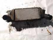 Ladeluftkühler Peugeot 407, 2004.05 - 2010.12 9645682880,874823nj