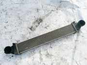 Ladeluftkühler Mercedes-Benz A-CLASS, W169, 2004.09 - 2008.09 A1695000000,