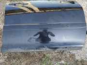 Zierleiste T?r Zier-Schutzleiste - Vorne Rechts Lexus RX, 2000.07 - 2003.05 Gebraucht,