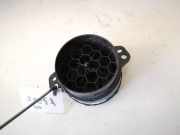 Lüftungsgitter Armaturenbrett Toyota RAV-4, II 2000.09 - 2005.11 4556422030, 455642-2030