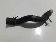 Kühlerschlauch Toyota Avensis, I 2000.10 - 2003.02 facelift Gebraucht,