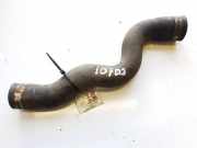 Kühlerschlauch Citroen C5, II 2008.02 - 2011.01 Gebraucht,