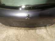 Kennzeichenleuchte Peugeot 207, 2006.02 - 2009.06 Gebraucht,