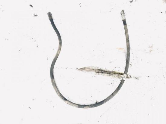 Servoleitung Leitung Servo Servoschlauch Schlauch Peugeot 307, 2000.08 - 2005.06 Gebraucht, Bild Servoleitung Leitung Servo Servoschlauch Schlauch Peugeot 307, 2000.08 - 2005.06 Gebraucht,