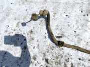 Stabilisator Vorne Volkswagen Golf, IV 1997.08 - 2003.10 Gebraucht,