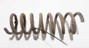 Fahrwerksfeder Hinterachse Mazda 5, CR 2005.02 - 2010.09 Gebraucht,