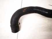 Intercooler Schlauch Mazda Premacy, 1999.01 - 2005.03 Gebraucht,