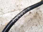 Stabilisator Vorne Nissan X-Trail, 2001.06 - 2007.06 Gebraucht,