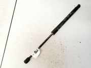 Gasdruckfeder Kofferraum Hyundai Santa Fe, 2006.03 - 2012.09 817702b000,