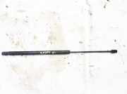 Gasdruckfeder Kofferraum Renault Espace, III 1996.11 - 2002.10 7441fc0730n,602300735