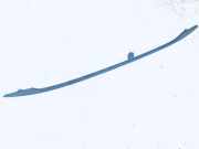 Dachreling Linke Volkswagen Sharan, 7M 1995.09 - 2000.04 7m0860025g, 95vwa55123