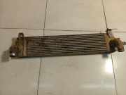 Ladeluftkühler Nissan Qashqai, I 2006.01 - 2010.06 G3062,G3062 14461-JD50A FA00IA 14461JD50A