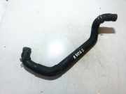 K?hlerschlauch Nissan X-Trail, 2001.06 - 2007.06 Gebraucht,