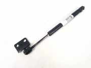 Gasdruckfeder Kofferraum Volkswagen Passat, B5 1996.08 - 2000.11 Gebraucht, afn